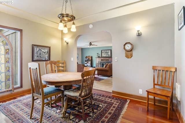 dining space featuring ceiling fan and wood-type flooring