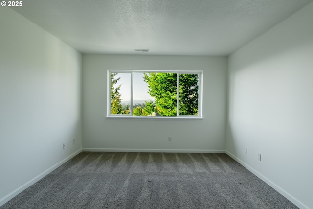 carpeted empty room with a textured ceiling