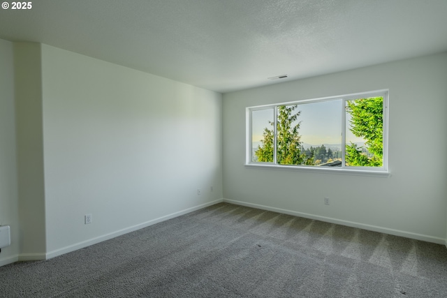 carpeted spare room featuring a textured ceiling