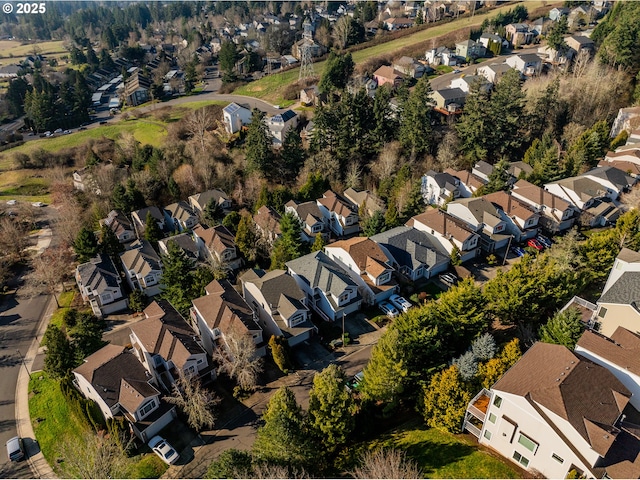 bird's eye view