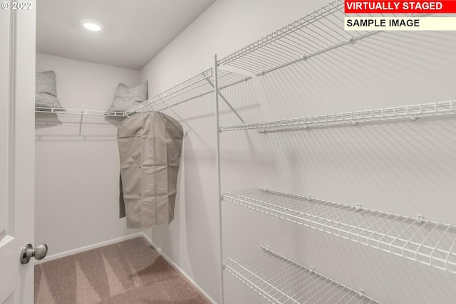 walk in closet with carpet floors