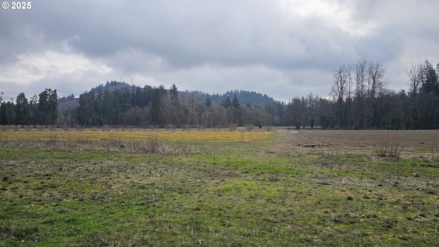 view of yard featuring a rural view and a view of trees