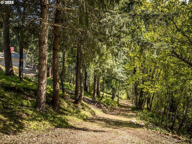 12720 S Carus Rd, Oregon City, OR 97045 - view of local wilderness featuring a wooded view