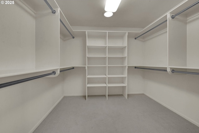 spacious closet featuring light carpet