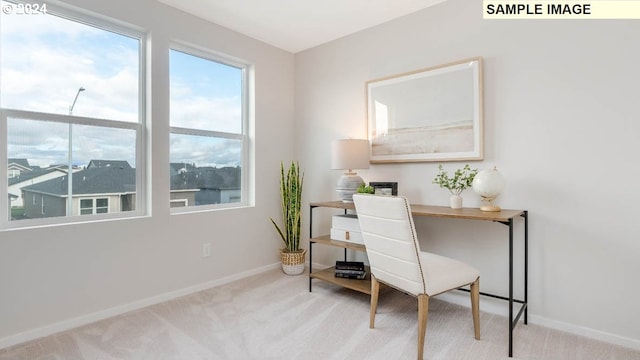 office with light colored carpet