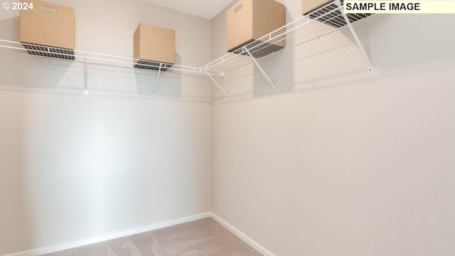 spacious closet with carpet floors