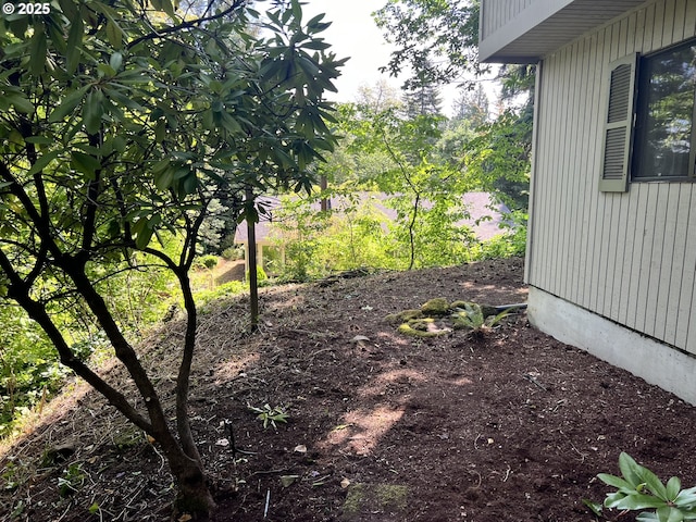16042 Cornell St, Lake Oswego, OR 97034 - view of yard