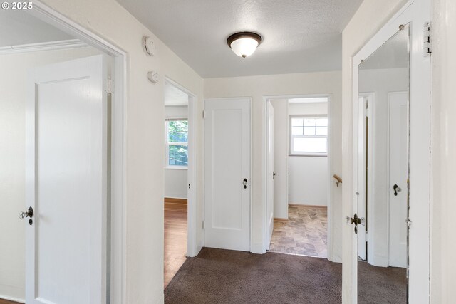hall featuring carpet flooring and plenty of natural light