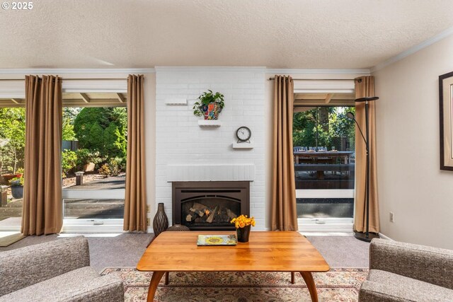 living area featuring carpet floors, a textured ceiling, ornamental molding, and plenty of natural light