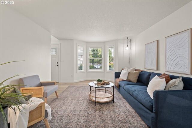 15314 NE 88th St, Vancouver, WA 98682 - living area featuring light wood-style floors and a textured ceiling