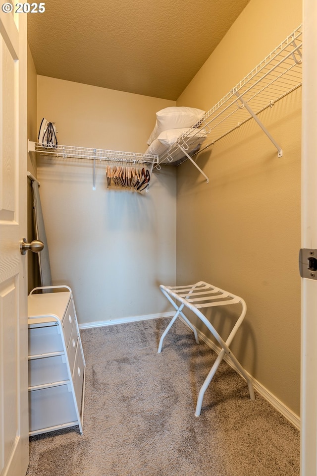 spacious closet featuring carpet floors