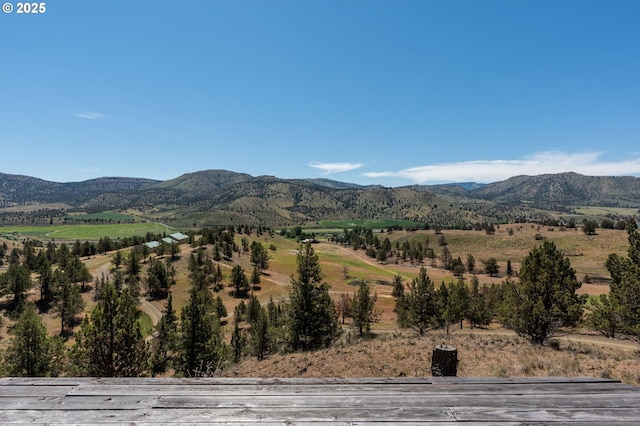 42224 Cupper Creek Rd, Kimberly, OR 97848 - view of mountain background
