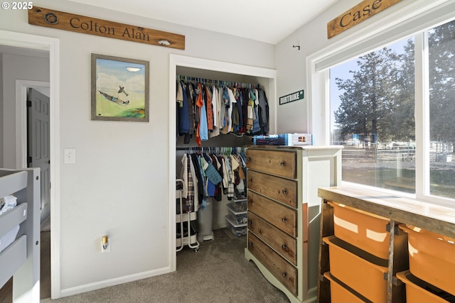 interior space with carpet floors