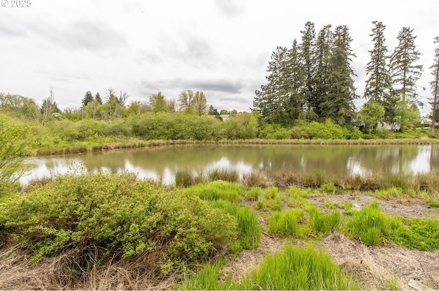 12190 SW Merestone Ct, Tigard, OR 97223 - water view