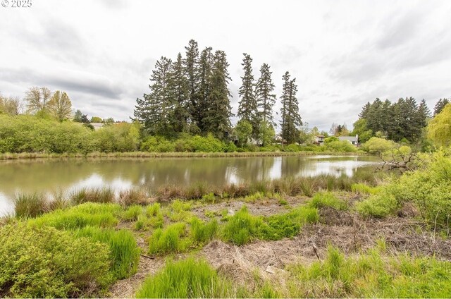 12190 SW Merestone Ct, Tigard, OR 97223 - water view