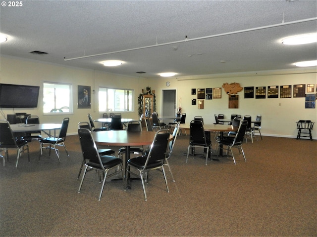 dining room with a textured ceiling and carpet flooring