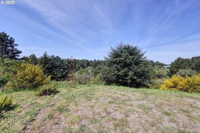 89650 Sea Breeze Dr, Warrenton, OR 97146 - view of woods
