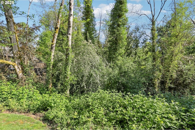 4621 SW Caldew St Unit D, Portland, OR 97219 - view of undeveloped land