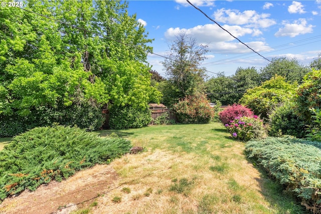 3602 NE 134th Ave, Portland, OR 97230 - view of yard
