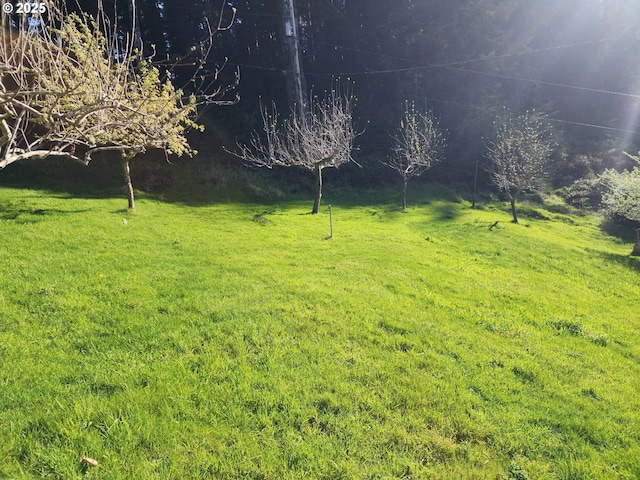 3062 S Tenmile, Lakeside, OR 97449 - view of grassy yard