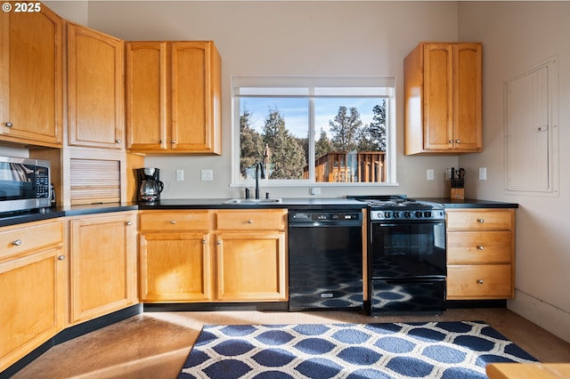 kitchen with sink and black appliances