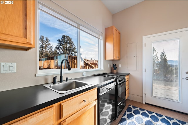 kitchen with sink and black appliances