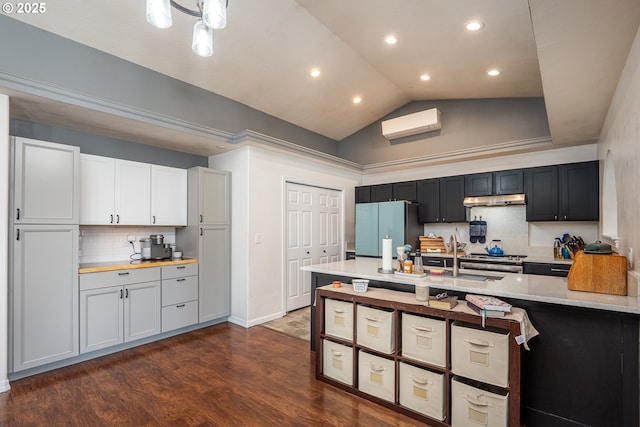 kitchen with a peninsula, dark wood finished floors, appliances with stainless steel finishes, under cabinet range hood, and a sink