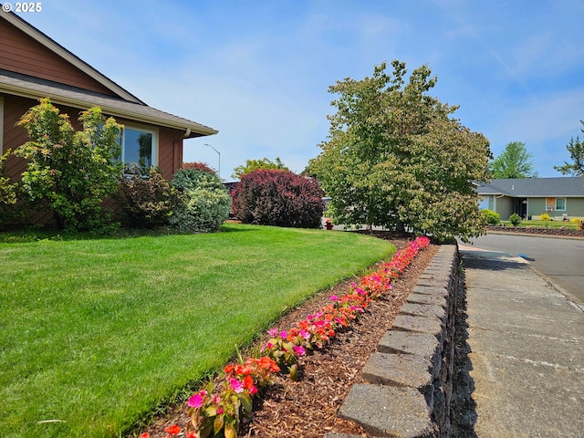 288 N Dorcas Dr, Keizer, OR 97303 - view of green lawn