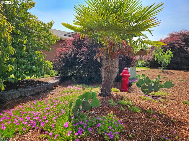 288 N Dorcas Dr, Keizer, OR 97303 - view of yard