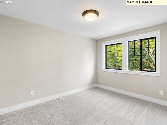 carpeted empty room with plenty of natural light