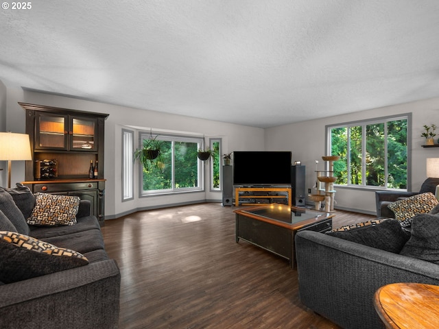 17222 SE Tickle Creek Rd, Boring, OR 97009 - living room featuring plenty of natural light, a textured ceiling, dark wood-style floors, and baseboards