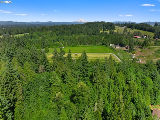 17222 SE Tickle Creek Rd, Boring, OR 97009 - aerial view of property and surrounding area featuring a forest and a mountain backdrop
