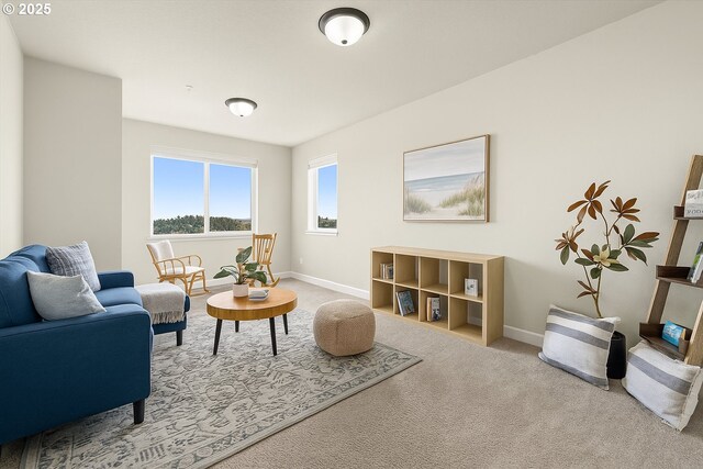 carpeted living room featuring baseboards