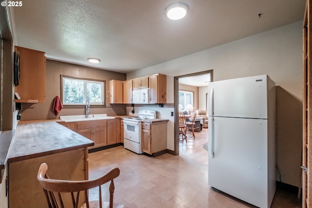 9602 Harlan Rd, Eddyville, OR 97343 - kitchen featuring a wealth of natural light, light countertops, light brown cabinets, and white appliances