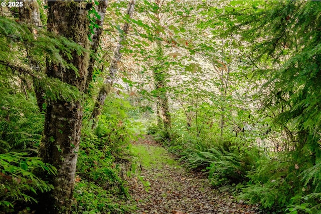 9602 Harlan Rd, Eddyville, OR 97343 - view of landscape with a wooded view