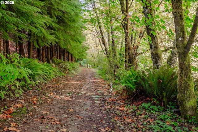 9602 Harlan Rd, Eddyville, OR 97343 - view of road featuring a wooded view