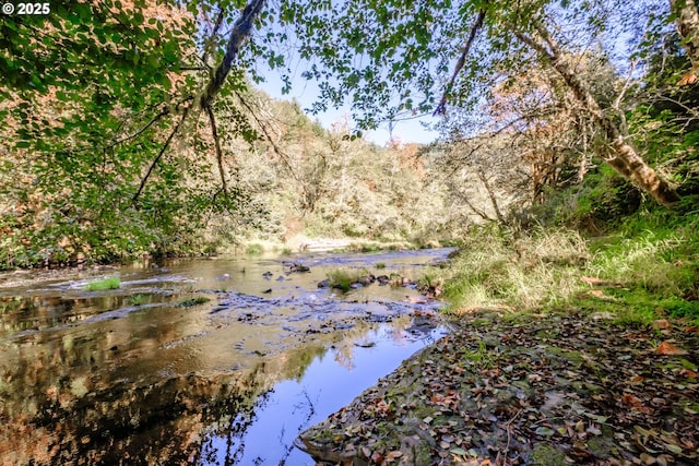 9602 Harlan Rd, Eddyville, OR 97343 - view of water feature with a wooded view
