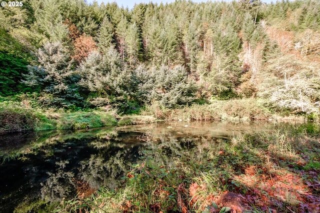 9602 Harlan Rd, Eddyville, OR 97343 - view of landscape featuring a view of trees and a water view