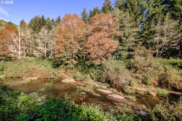 9602 Harlan Rd, Eddyville, OR 97343 - view of local wilderness