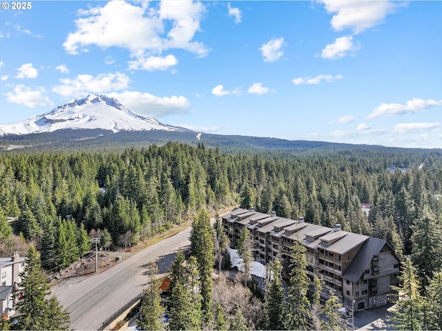 drone / aerial view with a view of trees and a mountain view
