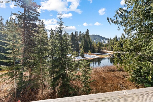 water view featuring a mountain view and a forest view
