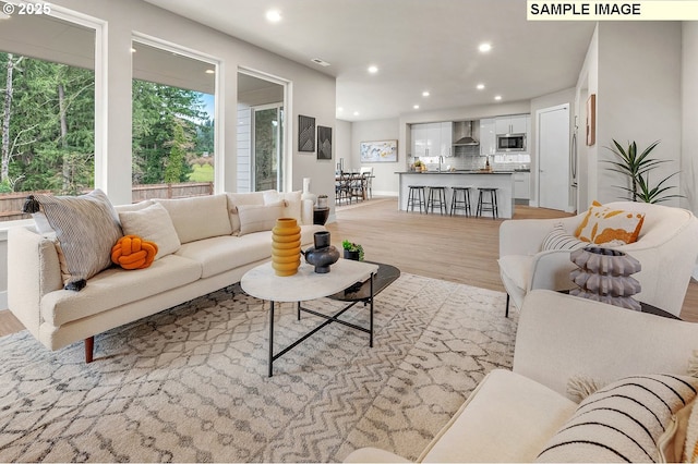 living room featuring light hardwood / wood-style flooring and sink