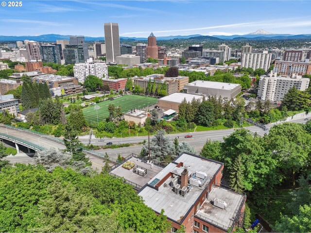 1205 SW Cardinell Dr Unit 604, Portland, OR 97201 - view of urban area with mountains