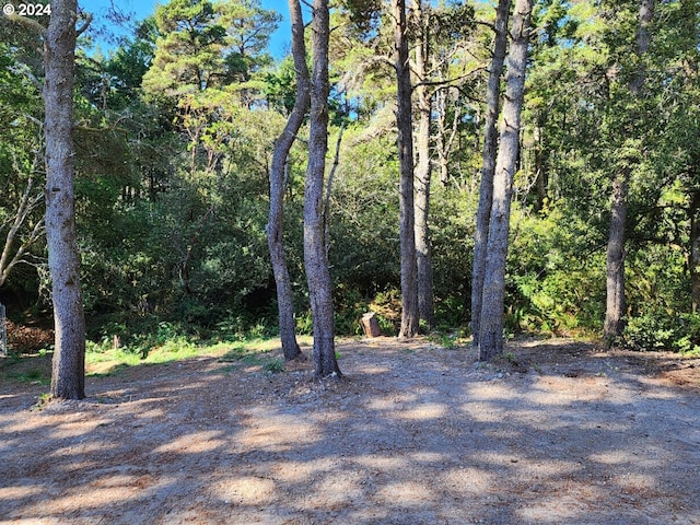 view of nature featuring a wooded view