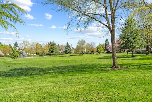 3113 SE 169th Ct, Vancouver, WA 98683 - view of property's community with a lawn