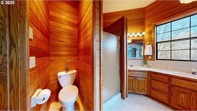 bathroom with vanity, toilet, and wood walls