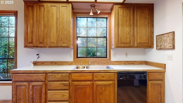 kitchen with black dishwasher and sink