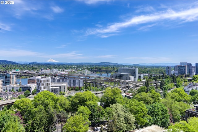 view of urban area featuring a notable bridge and a water and mountain view