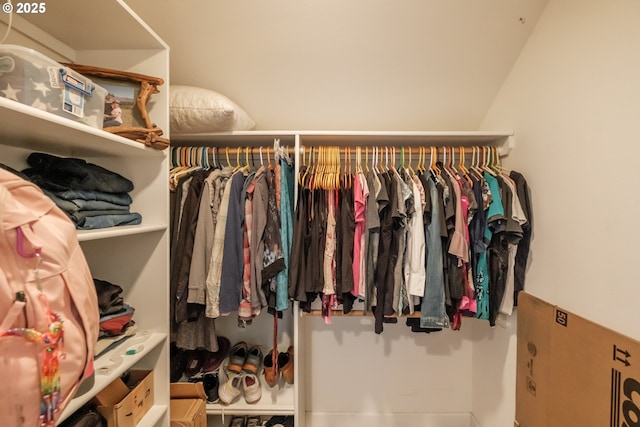 view of spacious closet