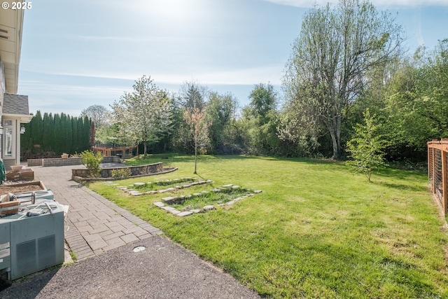 view of yard featuring a patio area
